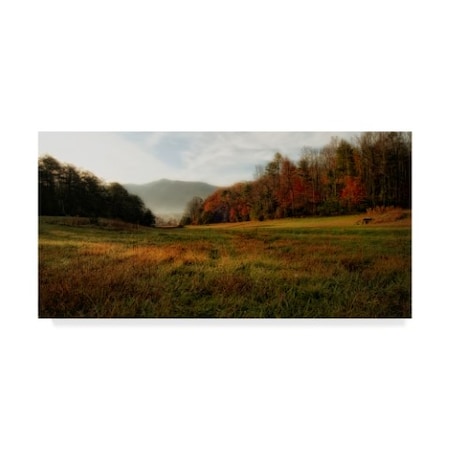 Danny Head 'Warm Morning Light' Canvas Art,16x32